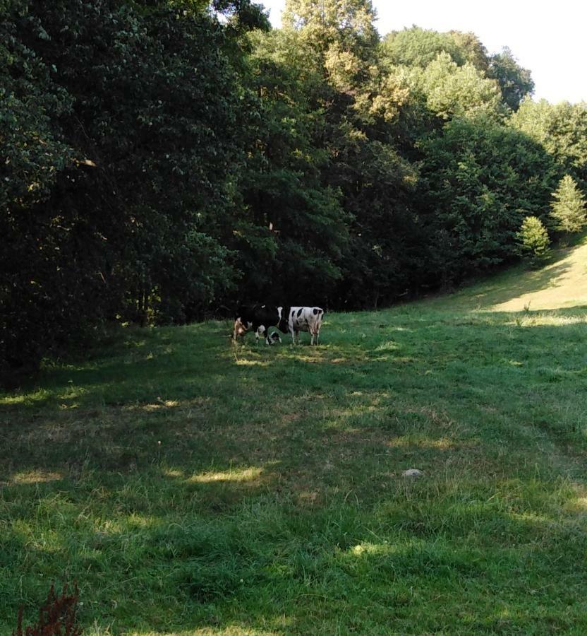 Landpension Haupt Sebnitz Kültér fotó